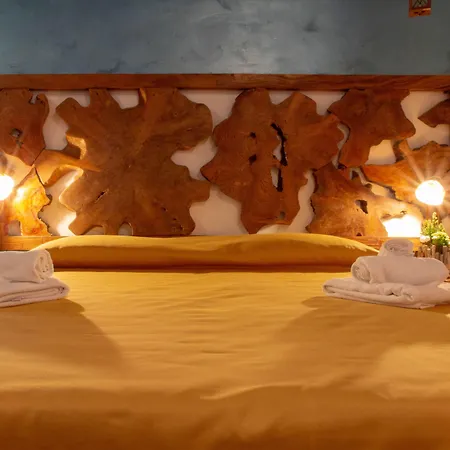 Donnaciccina تروبيا