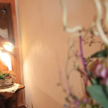 Donnaciccina Accomodation Guest house